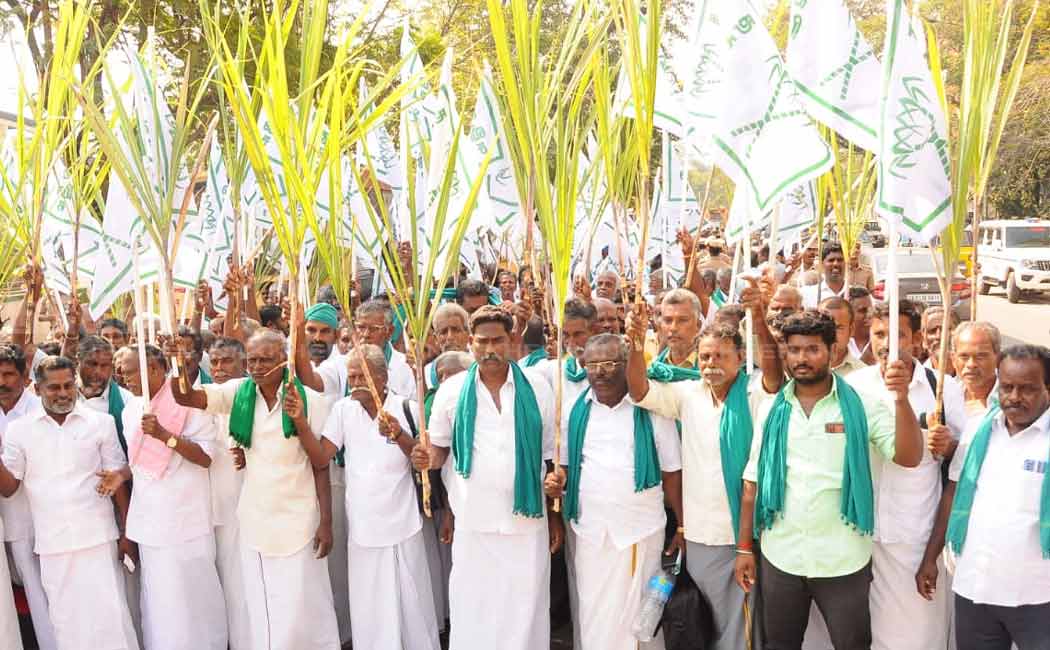 chennai egmore sugar cane farmers rate fixed issue