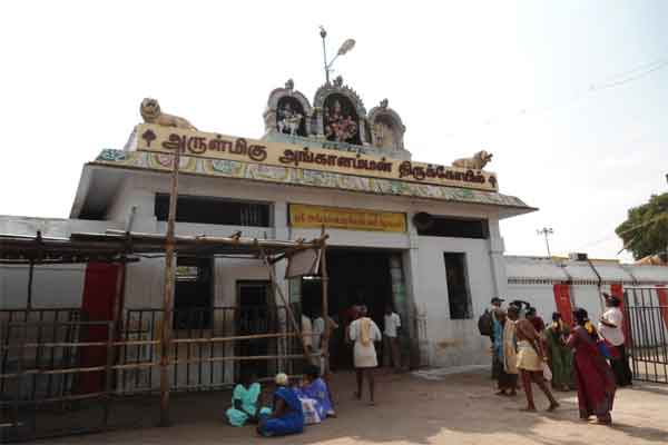 Order to consider and decide on the petition requesting to allow devotees in the swing festival of Melmalayanur Angalamman temple!