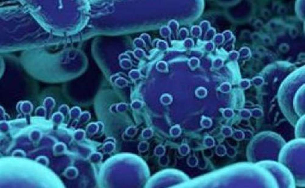 Maharashtra corona virus updates