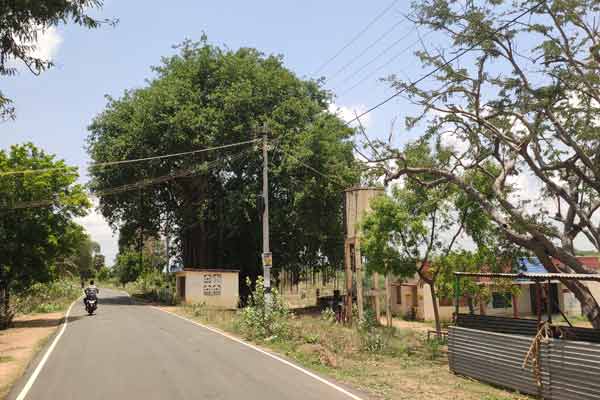A young man came to an orphanage as if asking for money and stole cell phones