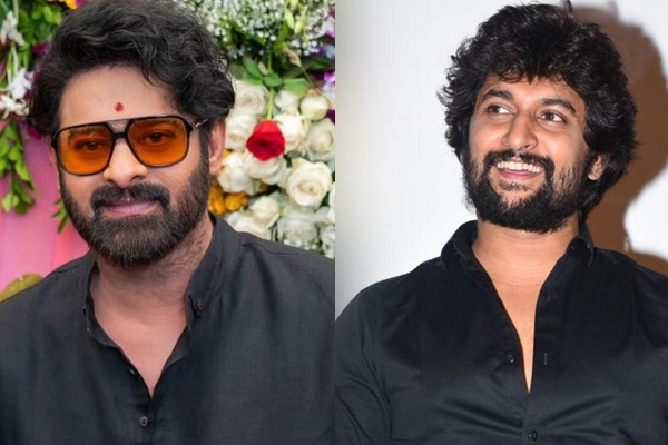 nani about prabhas criticism regards kalki movie