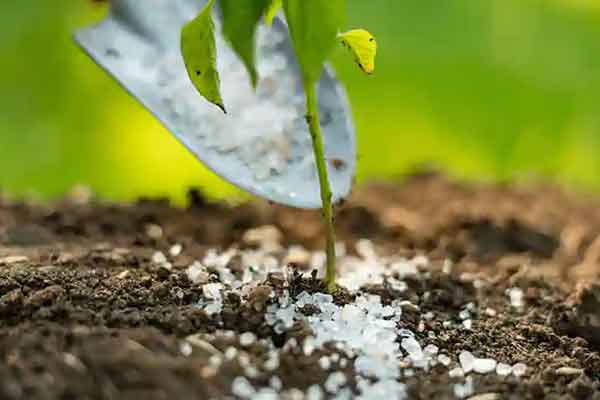 Discovery of non-standard 310 pesticides! Action on 15 companies!