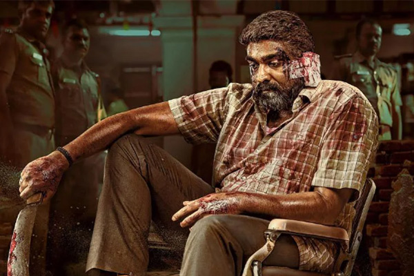 vijay sethupathi 50th film maharaja will screened in iffla