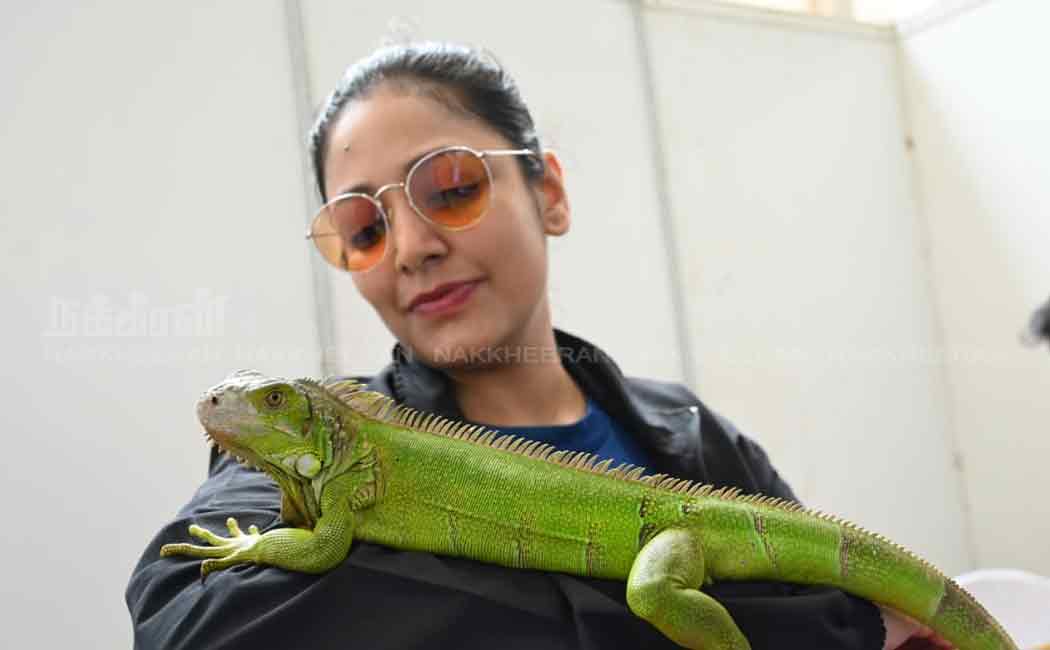 pet and dog show in chennai nandanam ymca ground