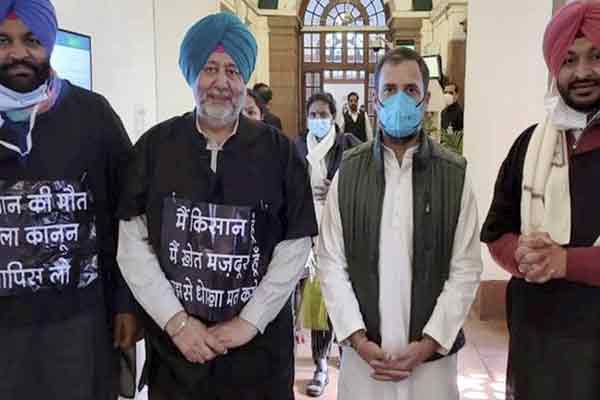 congress mp with rahul gandhi