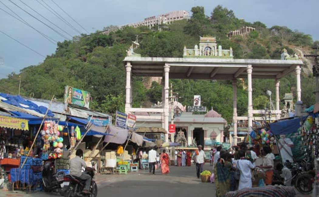 Pazhanimurugan temple festival on 27th public can travel by bus for free