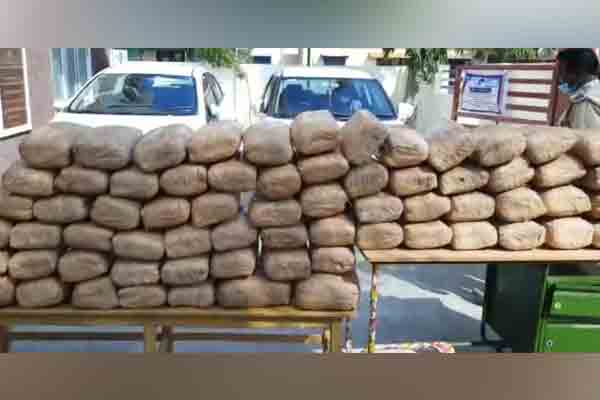 Nine persons from Andhra Pradesh, Kerala and Tamil Nadu arrested for cannabis