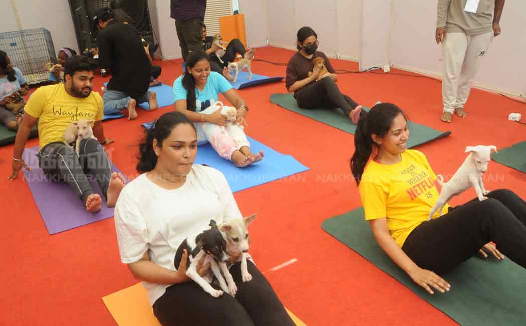 pet and dog show in chennai nandanam ymca ground