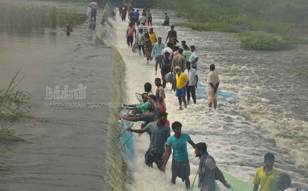 People fishing in the lake