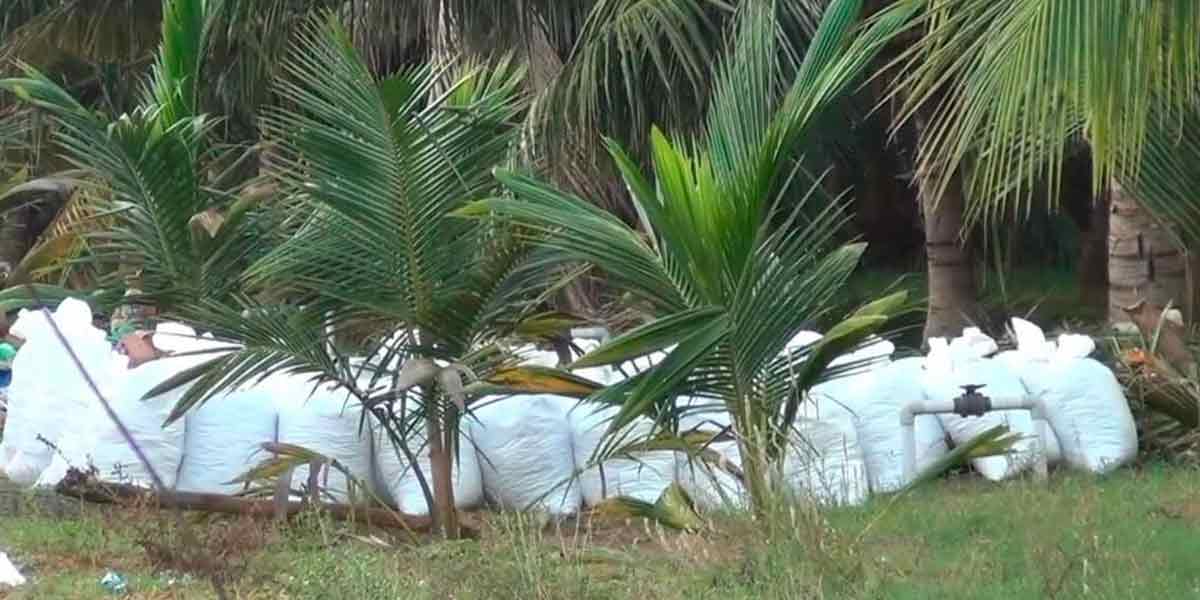 'Ganja suppliers need to be identified and action taken' - ADGP Shankar
