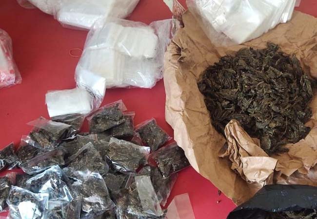 police raid one person arrested