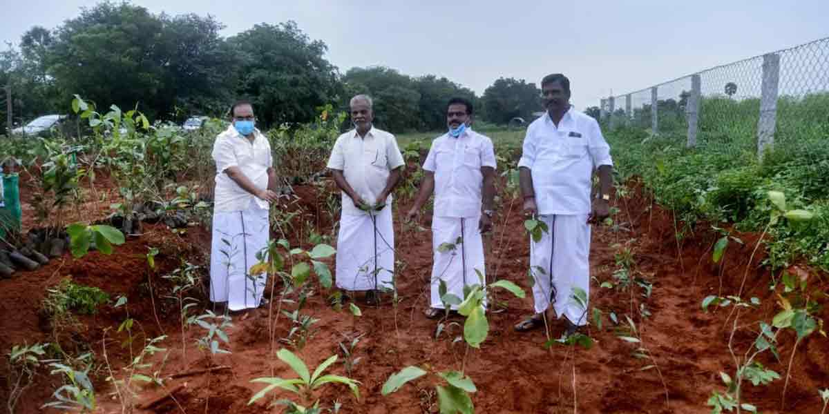 Minister inaugurates 4444 saplings on the eve of Udayanithi Stalin's birthday!