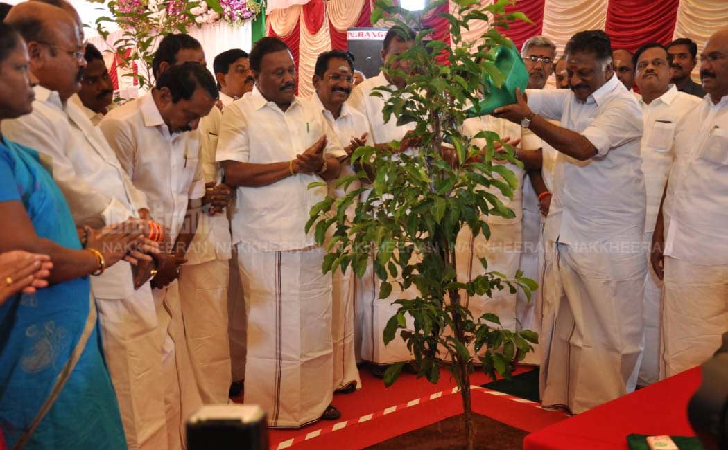 jayalalitha birthday function