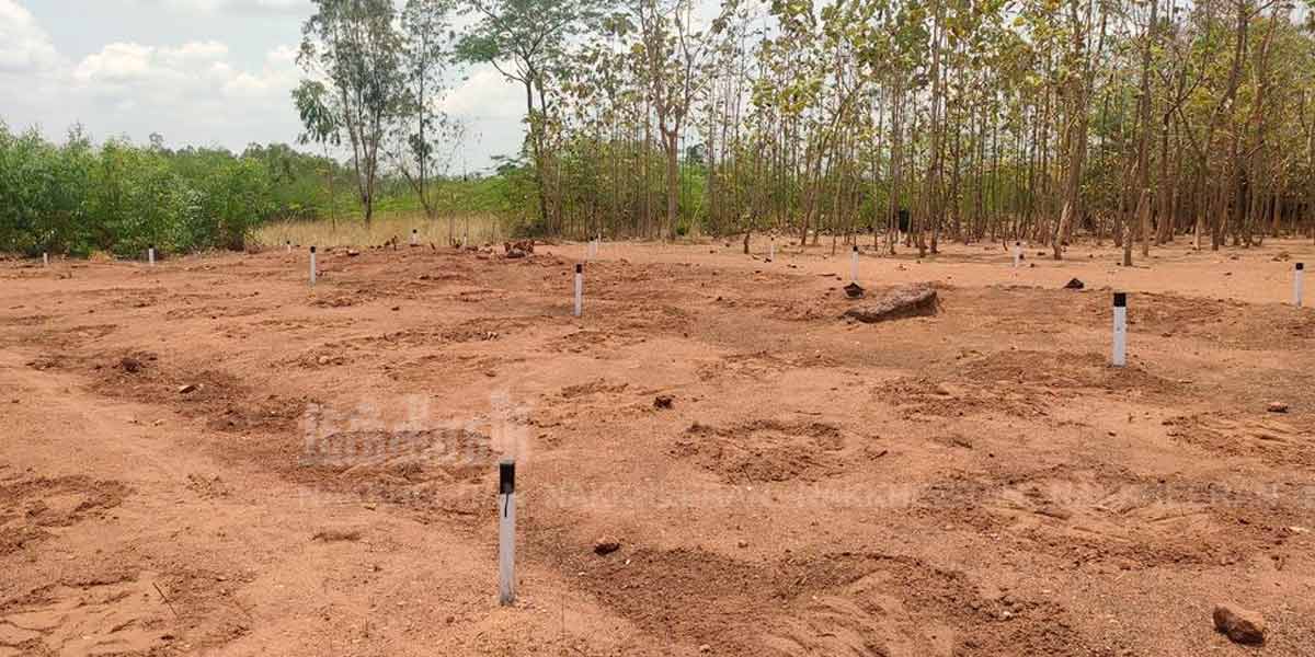'Polpanai Kottay preparing for 2nd phase of excavation' - opportunity to be inaugurated by the Chief Minister