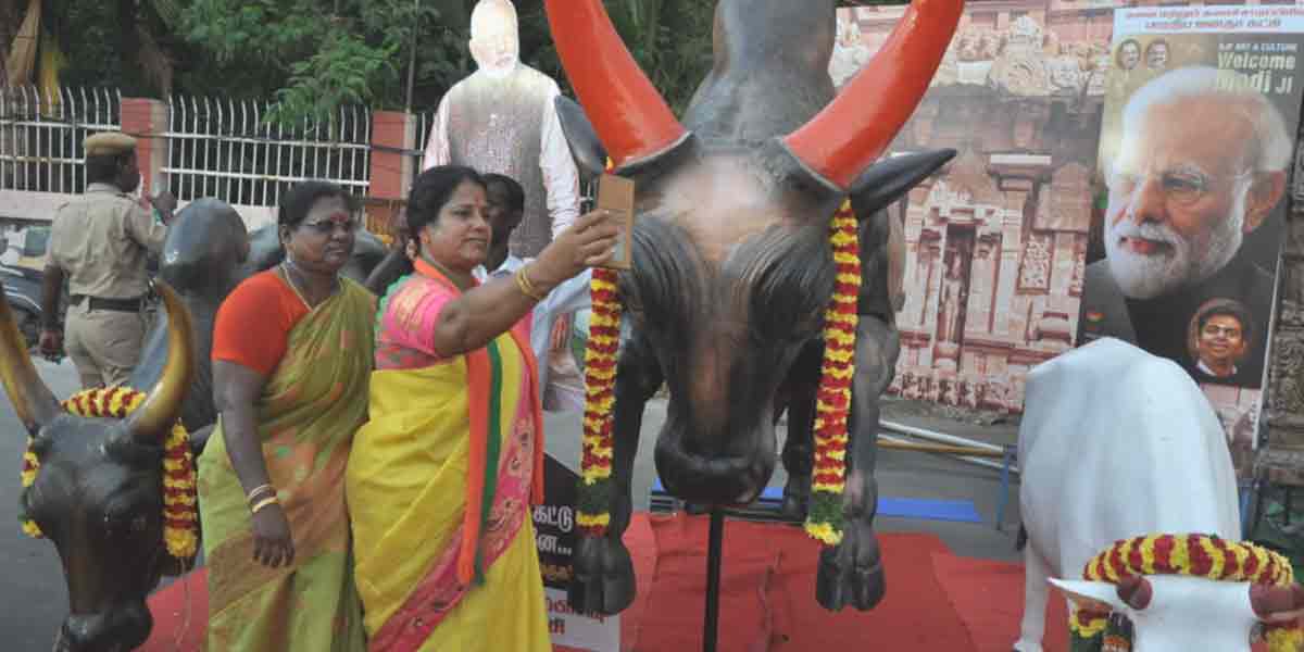 Welcome to Modi ... AIADMK flags that do not catch the eye!
