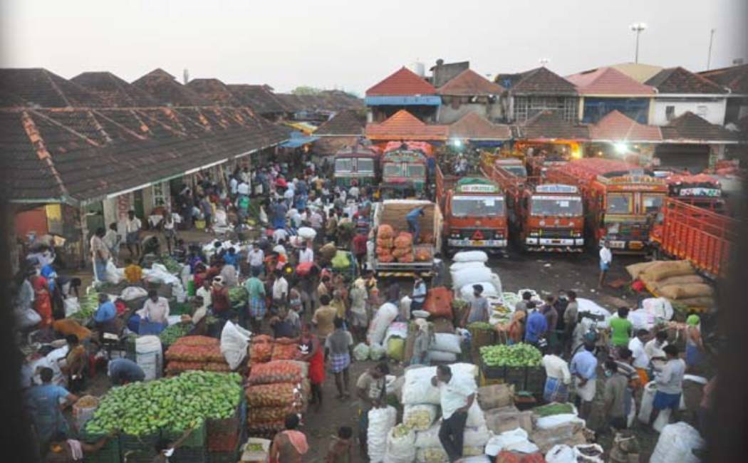 High Court dissatisfied with not allocating space for sale of tomatoes!
