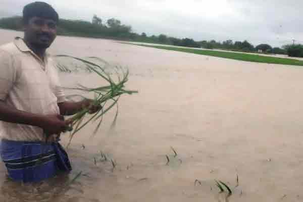 Roads flooded due to continuous heavy rains! Traffic Disruption! Destroy the agri land!