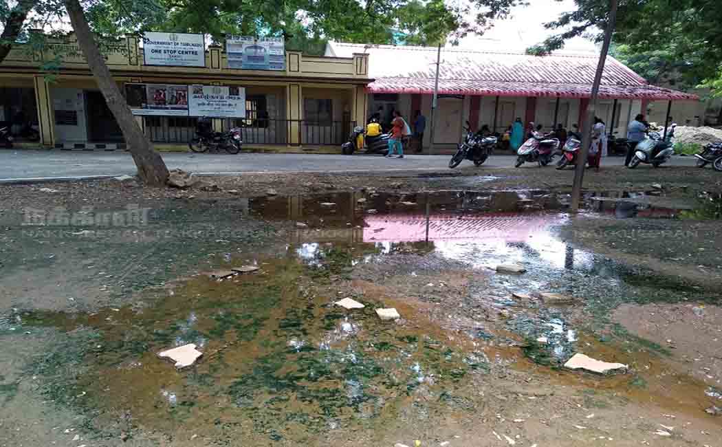 SALEM Municipal office complex for dengue mosquito production