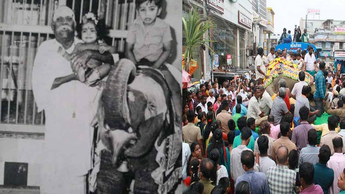 Gandhimati elephant passedaway-screaming devotees