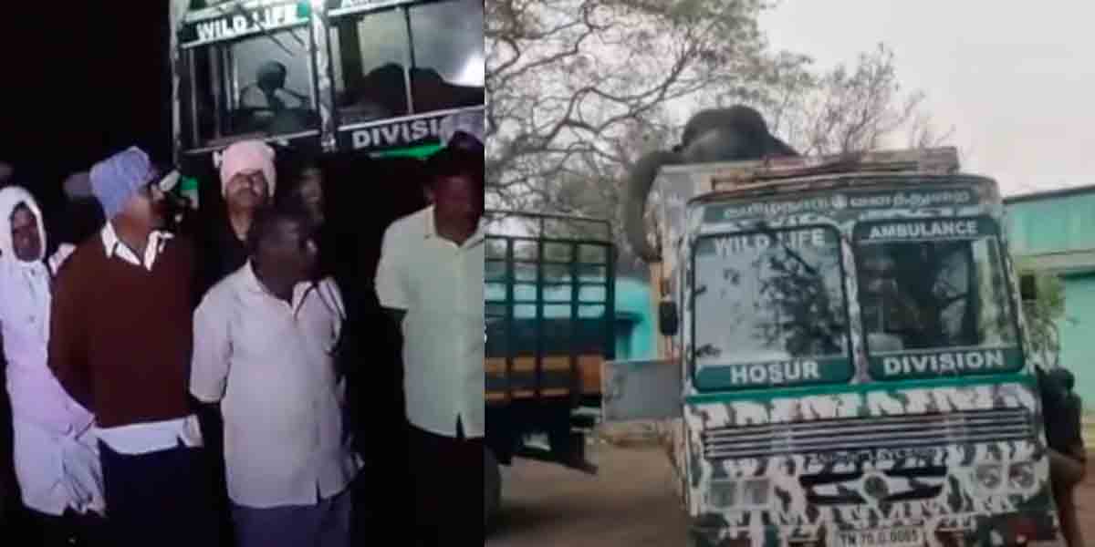 Karamadai Farmers struggle... Magna is standing on