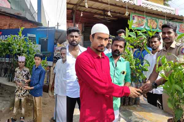 pudukkottai thanjavur ramzan celebration tree plant supply alumni school students