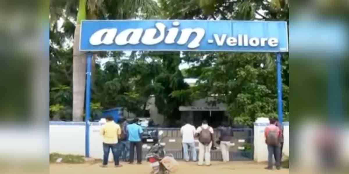 Anti-corruption check at Vellore Avin office