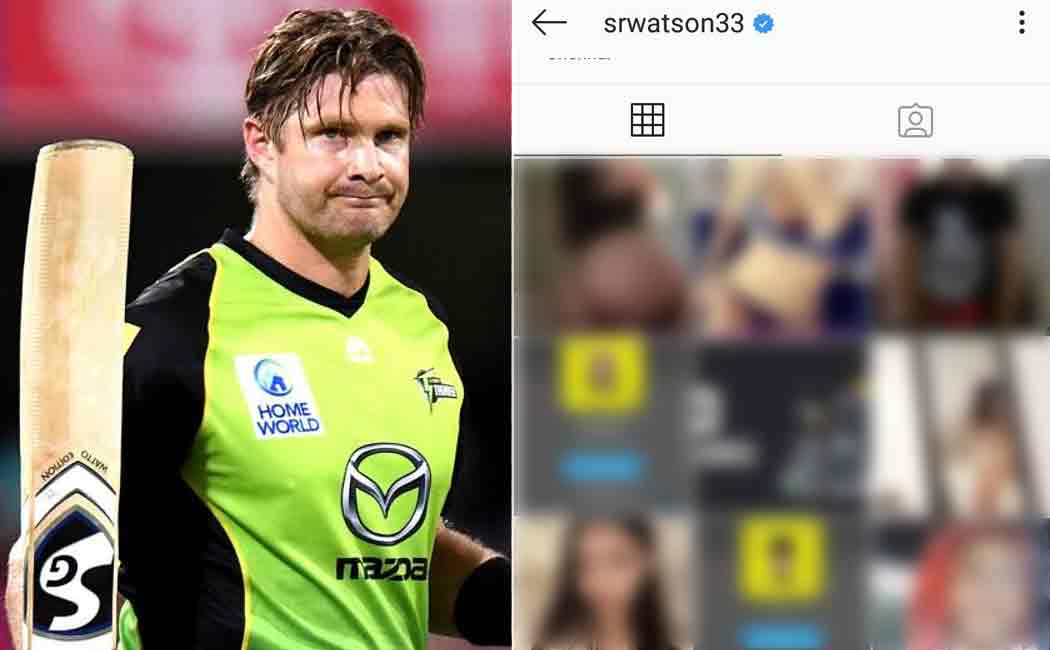 shane watson twitter account hacked