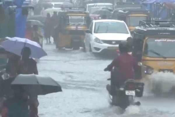 WhatsApp number to report rain damage; Tamil Nadu Government Notification