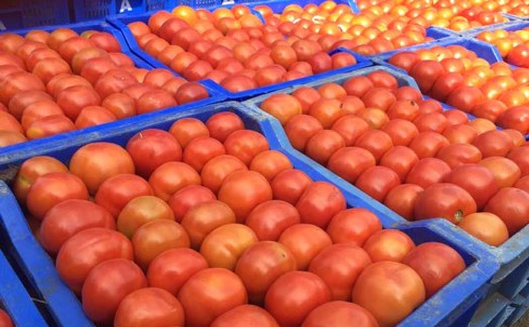 Tomato prices are low in Tamil Nadu!