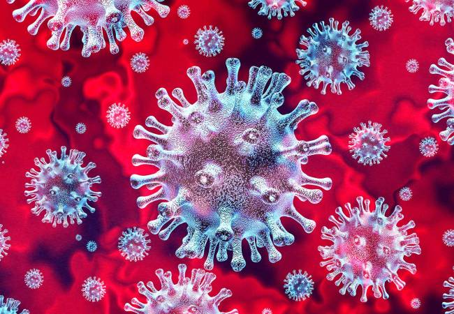 andhra pradesh state chittoor schools students, teachers coronavirus