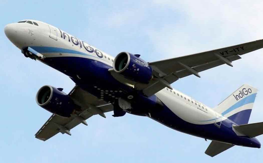 Private airline plans to offer additional flights