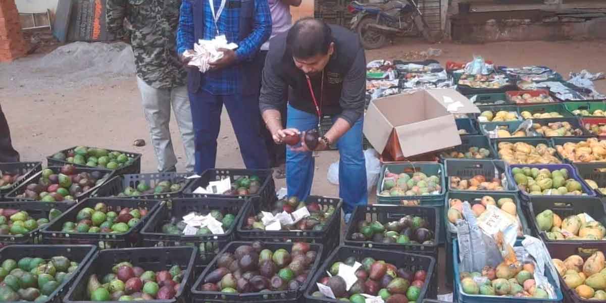 7 tons of mangoes that were ripened by spraying chemicals in Coimbatore seized