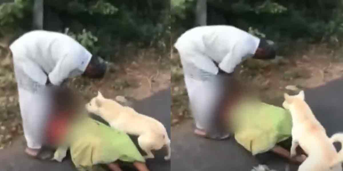 The son who lost his humanity ... The foster dog who tried to save his mother