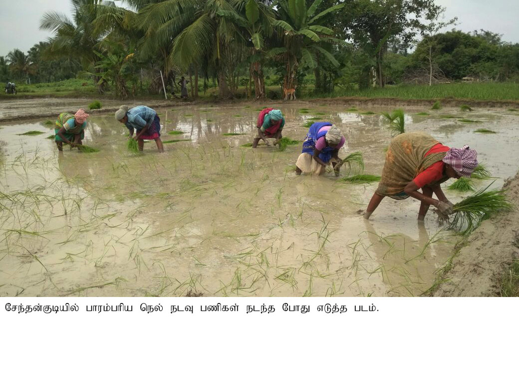 agri