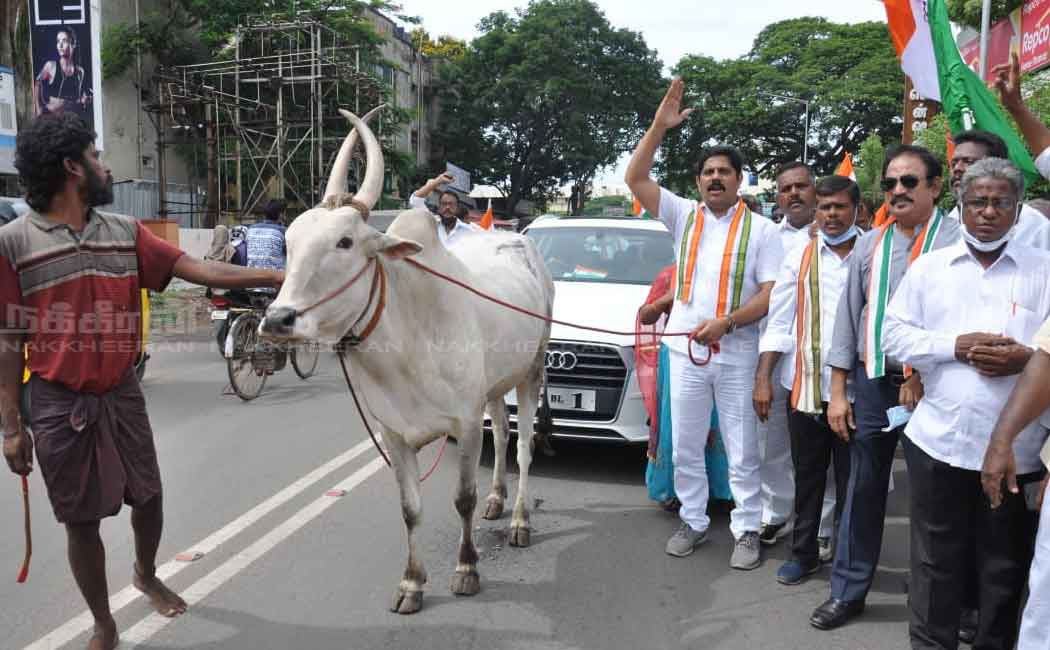 Congress party held a bicycle rally
