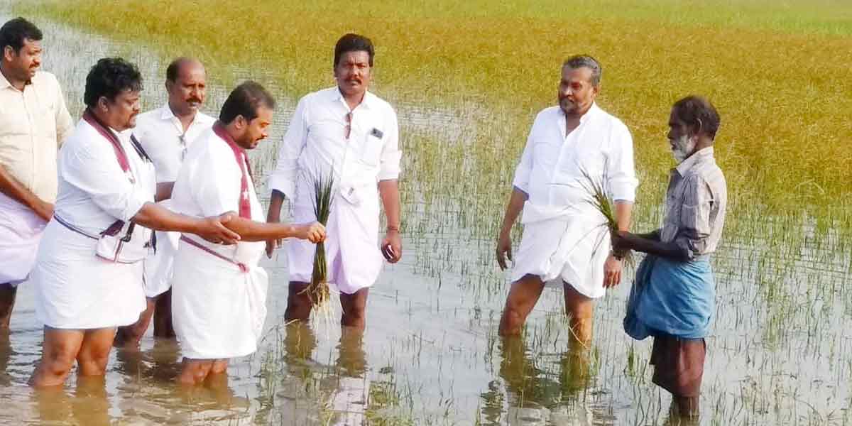 thamimun Ansari visit flood affected in Thirukarukkavur