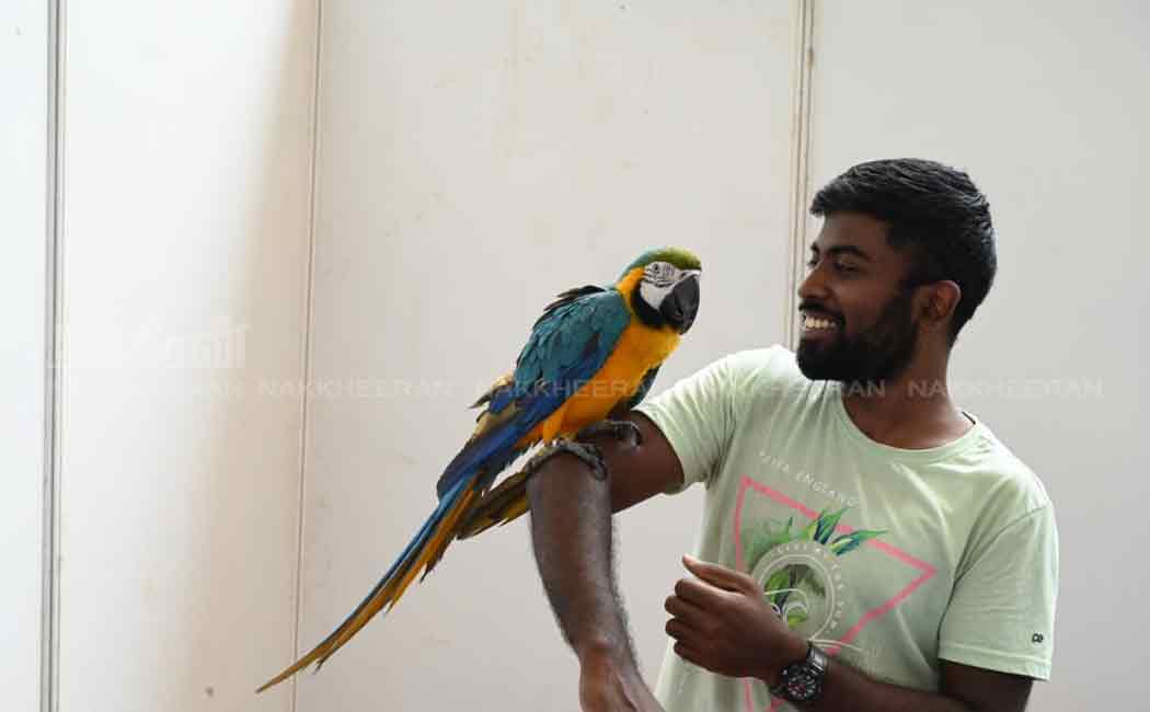 pet and dog show in chennai nandanam ymca ground