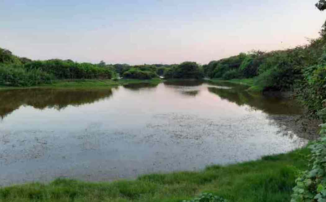 Three children drown in lake ..! The villagers in grief