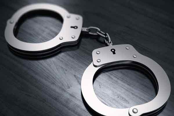 8 arrested for hunting wild animals
