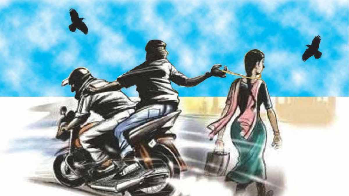 The old woman who fought off a helmet thief