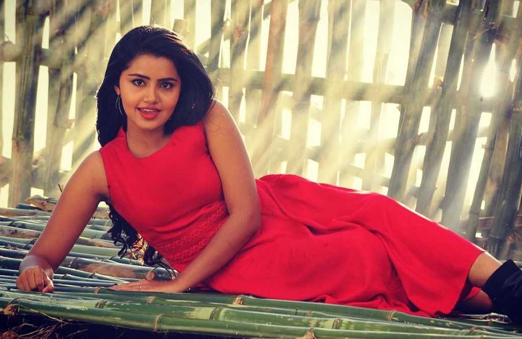 anupama parameshwaran