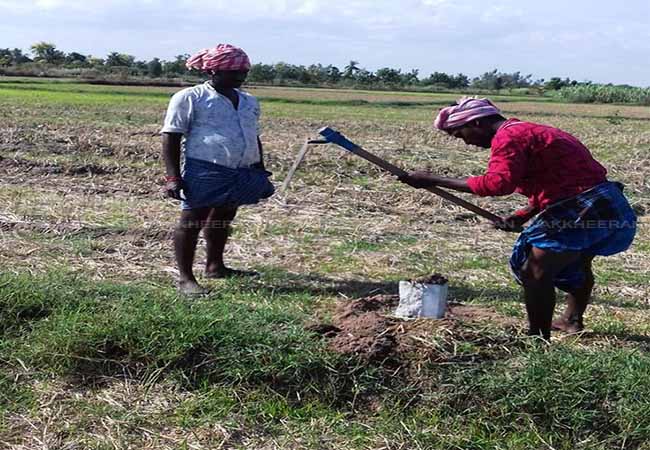 pudukottai district Small and marginal farmers leaving the aquatic occupation!