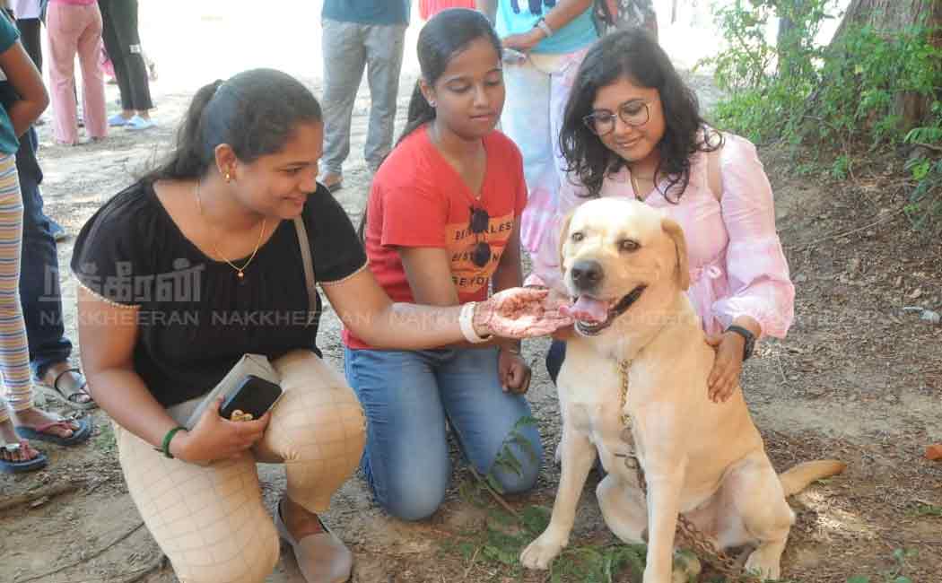 pet and dog show in chennai nandanam ymca ground