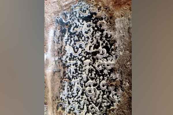 The message of the inscription is ‘Oxidation will be completely removed if the Guru’s foot is bowed’