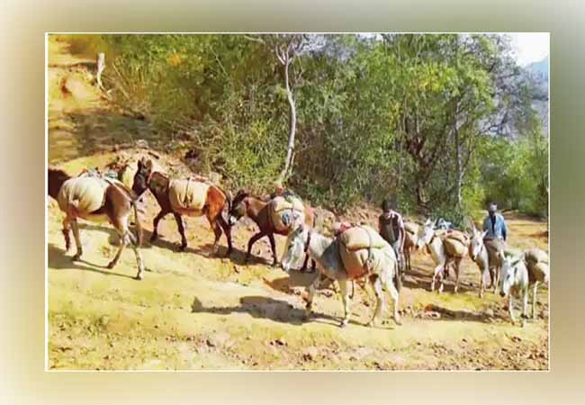 For mountain villages dharmapuri district