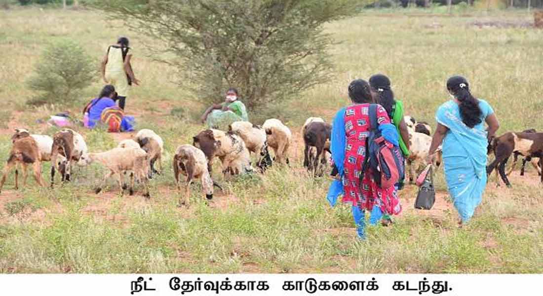 NEET EXAM IN NELLAI