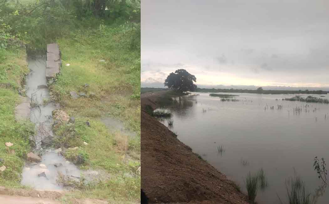 District administration should take action on wartime basis