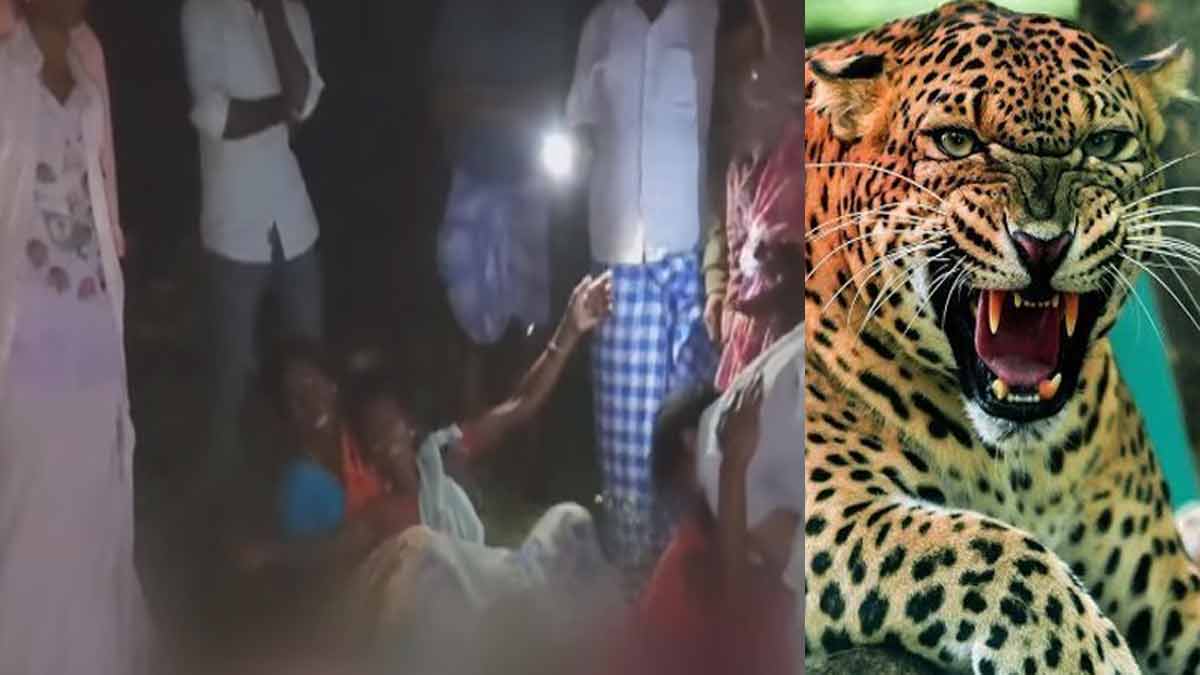 'Young girl lose their live after being bitten by a leopard' - a sad story