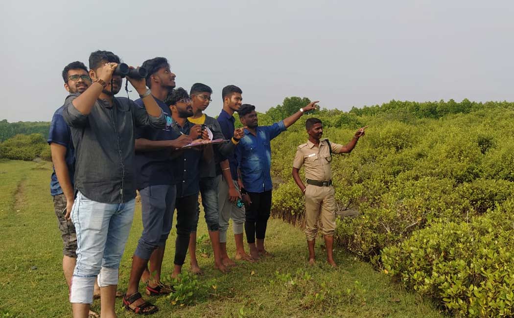 Bird survey mission in Pichavaram mangrove forest