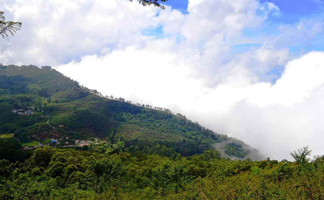 High Court instructs Tamil Nadu government not to allow occupation of even an inch of forest land ..!